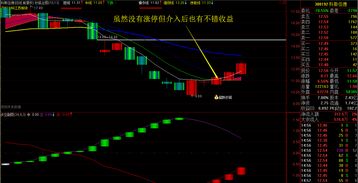 陈辉股票均线图解精解视频