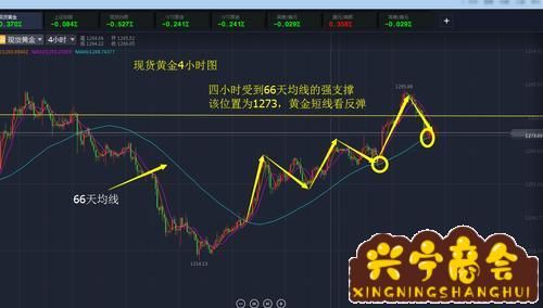 现货黄金论坛